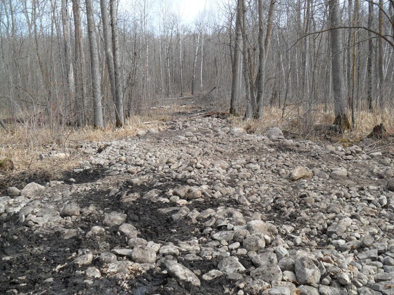 Road construction through wooded swamp? Green Tractor Talk